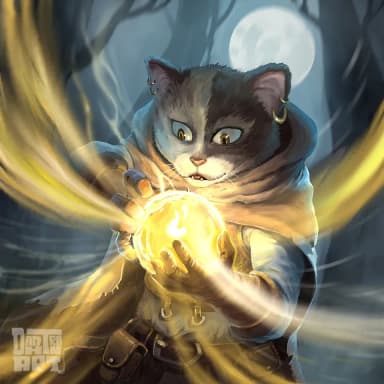 Wizard Cat